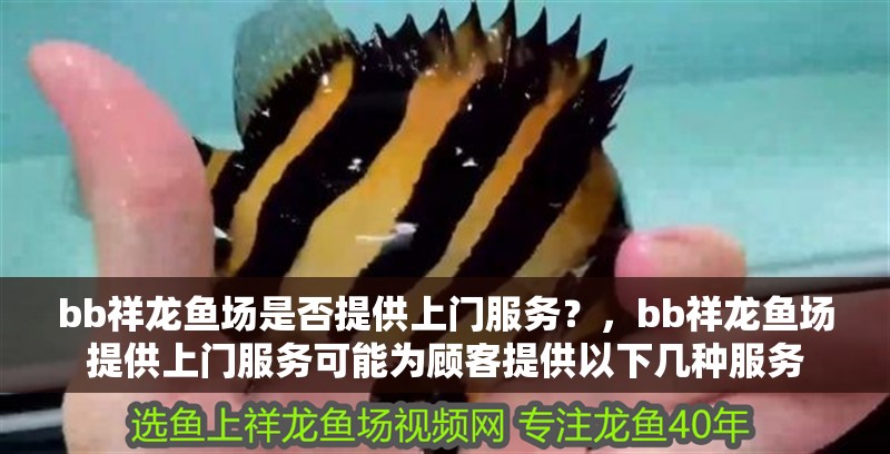 bb祥龍魚(yú)場(chǎng)是否提供上門服務(wù)？，bb祥龍魚(yú)場(chǎng)提供上門服務(wù)可能為顧客提供以下幾種服務(wù)