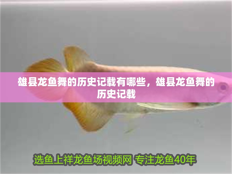 雄縣龍魚(yú)舞的歷史記載有哪些，雄縣龍魚(yú)舞的歷史記載