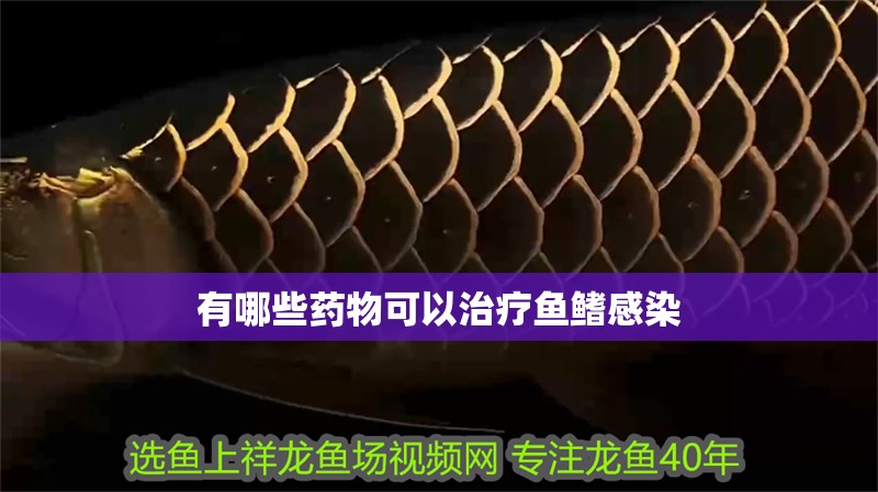有哪些藥物可以治療魚鰭感染