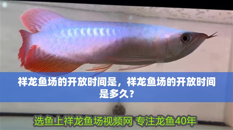 祥龍魚場的開放時間是，祥龍魚場的開放時間是多久？