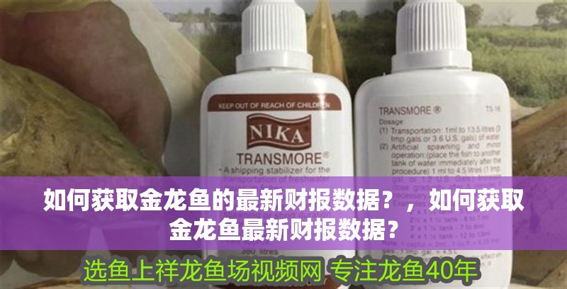 如何獲取金龍魚的最新財報數據？，如何獲取金龍魚最新財報數據？