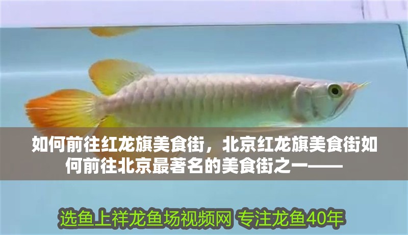 如何前往紅龍旗美食街，北京紅龍旗美食街如何前往北京最著名的美食街之一——