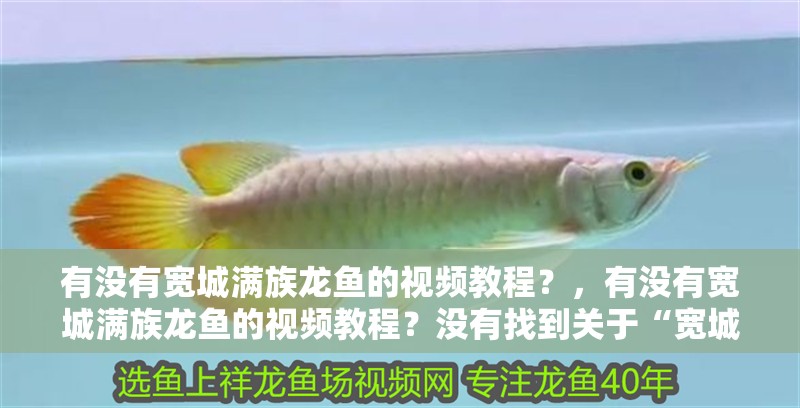 有沒有寬城滿族龍魚的視頻教程？，有沒有寬城滿族龍魚的視頻教程？沒有找到關于“寬城滿族龍魚”的視頻教程,