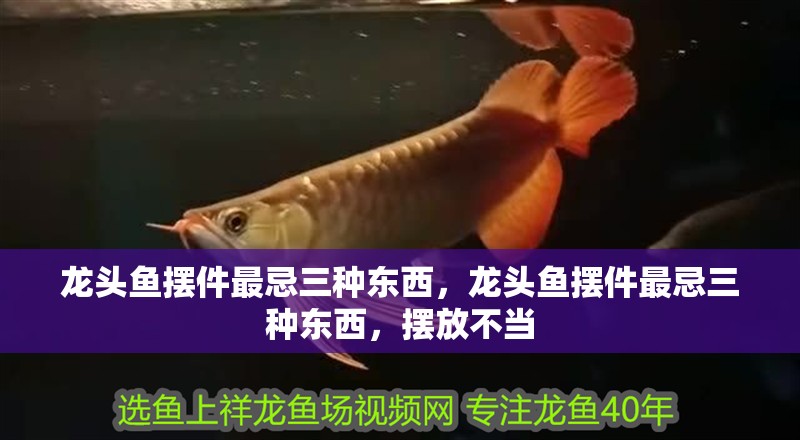 龍頭魚(yú)擺件最忌三種東西，龍頭魚(yú)擺件最忌三種東西，擺放不當(dāng)