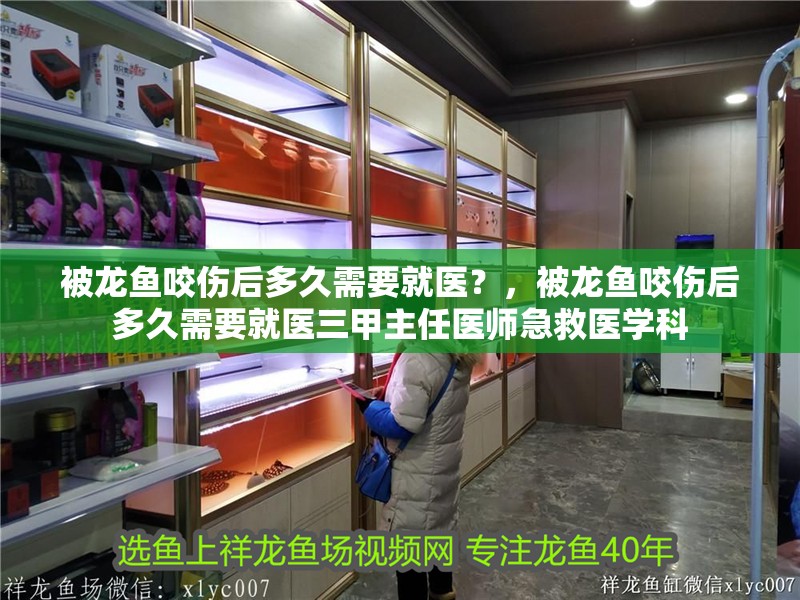 被龍魚咬傷后多久需要就醫(yī)？，被龍魚咬傷后多久需要就醫(yī)三甲主任醫(yī)師急救醫(yī)學(xué)科