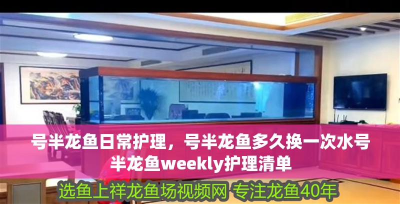 號半龍魚日常護理，號半龍魚多久換一次水號半龍魚weekly護理清單