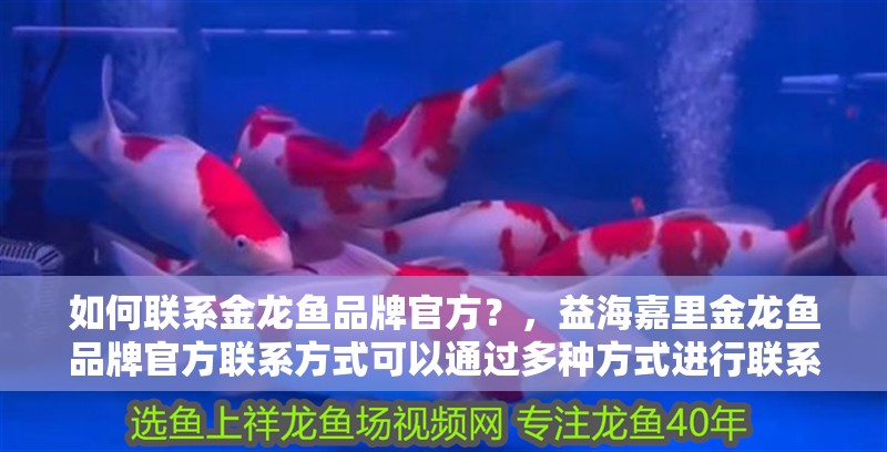 如何聯(lián)系金龍魚品牌官方？，益海嘉里金龍魚品牌官方聯(lián)系方式可以通過多種方式進(jìn)行聯(lián)系