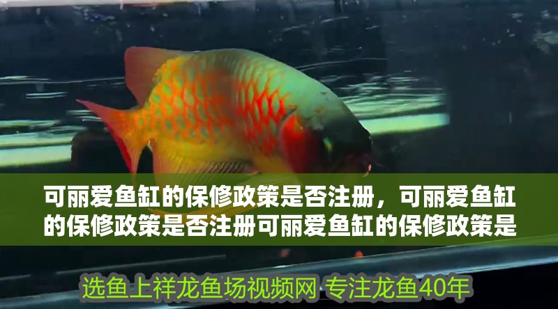 可麗愛魚缸的保修政策是否注冊，可麗愛魚缸的保修政策是否注冊可麗愛魚缸的保修政策是否注冊