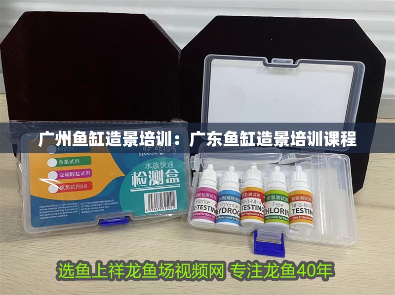 廣州魚缸造景培訓(xùn)：廣東魚缸造景培訓(xùn)課程