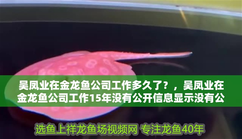 吳鳳業(yè)在金龍魚公司工作多久了？，吳鳳業(yè)在金龍魚公司工作15年沒有公開信息顯示沒有公開信息