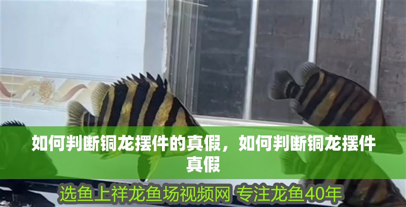 如何判斷銅龍擺件的真假，如何判斷銅龍擺件真假