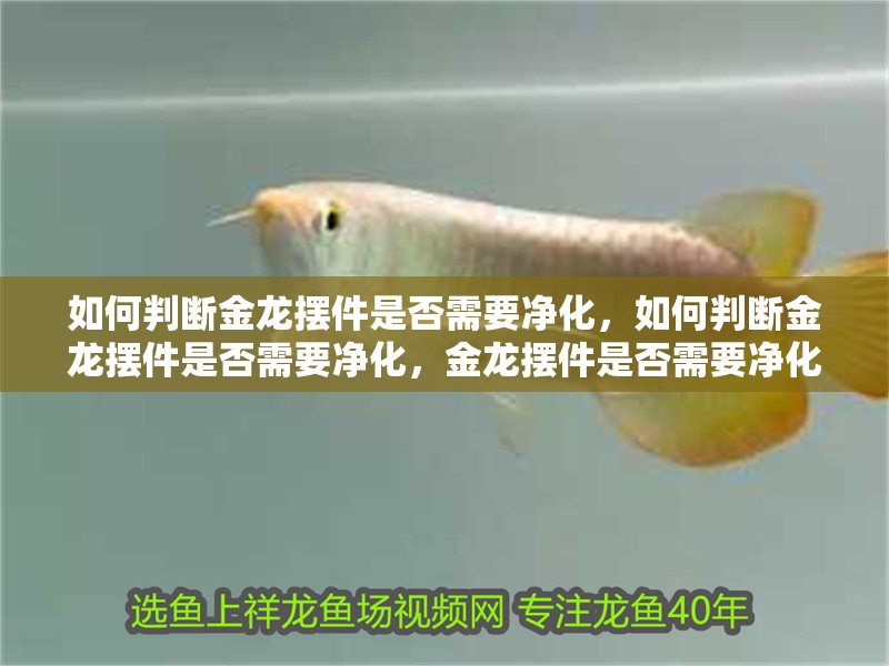 如何判斷金龍擺件是否需要凈化，如何判斷金龍擺件是否需要凈化，金龍擺件是否需要凈化