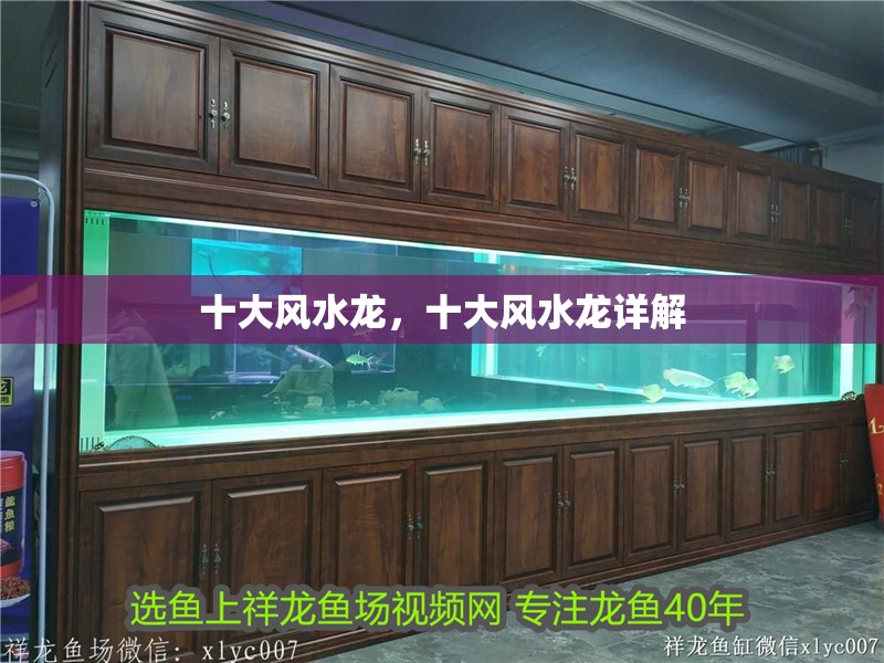十大風水龍，十大風水龍詳解