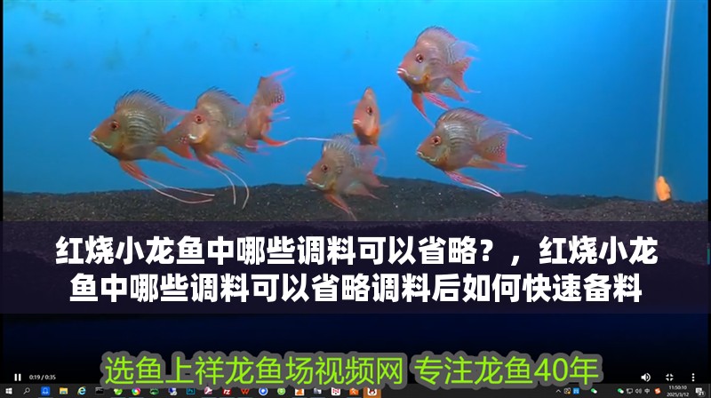 紅燒小龍魚中哪些調料可以省略？，紅燒小龍魚中哪些調料可以省略調料后如何快速備料