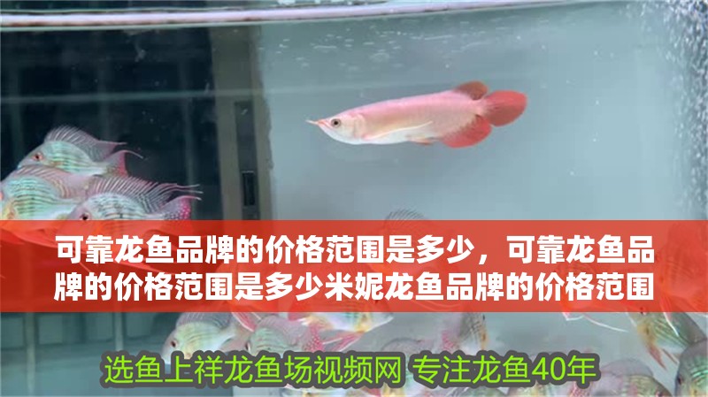 龍魚爛鰓病治療需要多長時間