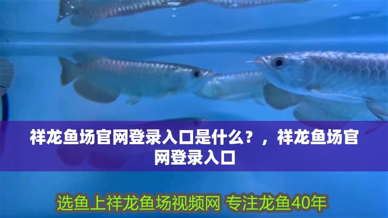 祥龍魚場官網(wǎng)登錄入口是什么？，祥龍魚場官網(wǎng)登錄入口