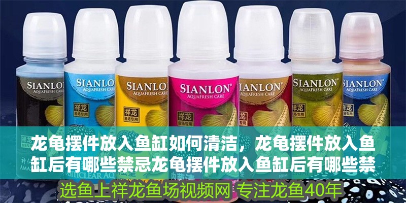 龍龜擺件放入魚缸如何清潔，龍龜擺件放入魚缸后有哪些禁忌龍龜擺件放入魚缸后有哪些禁忌