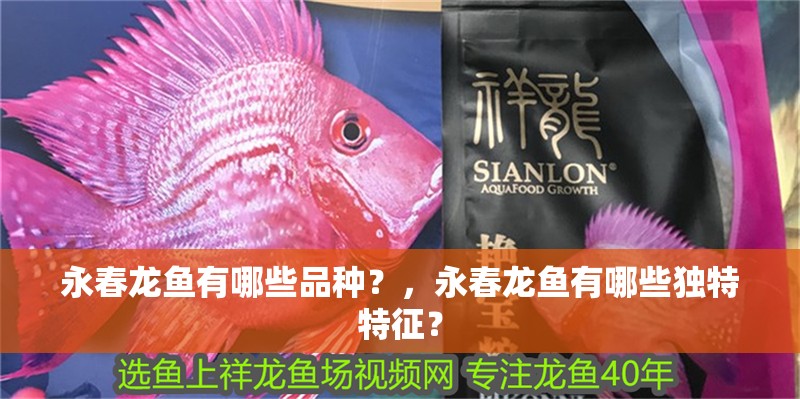 永春龍魚有哪些品種？，永春龍魚有哪些獨特特征？