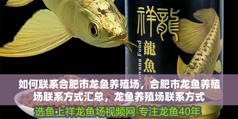 如何聯(lián)系合肥市龍魚養(yǎng)殖場，合肥市龍魚養(yǎng)殖場聯(lián)系方式匯總，龍魚養(yǎng)殖場聯(lián)系方式