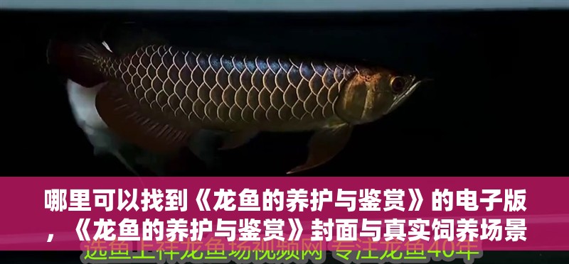 哪里可以找到《龍魚的養護與鑒賞》的電子版，《龍魚的養護與鑒賞》封面與真實飼養場景融合圖