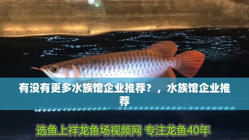 有沒(méi)有更多水族館企業(yè)推薦？，水族館企業(yè)推薦