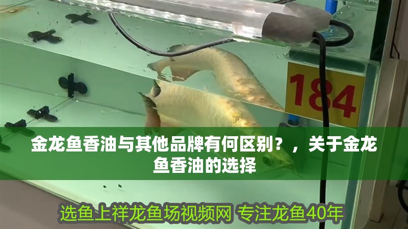 金龍魚香油與其他品牌有何區別？，關于金龍魚香油的選擇