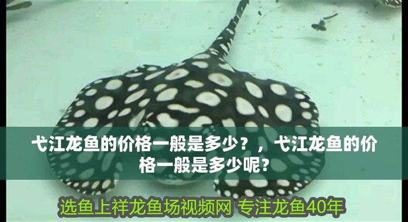 弋江龍魚的價格一般是多少？，弋江龍魚的價格一般是多少呢？