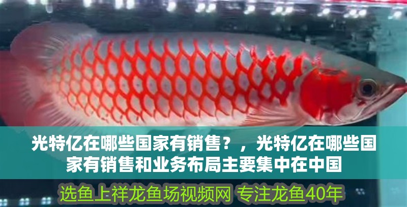 光特億在哪些國家有銷售？，光特億在哪些國家有銷售和業(yè)務布局主要集中在中國