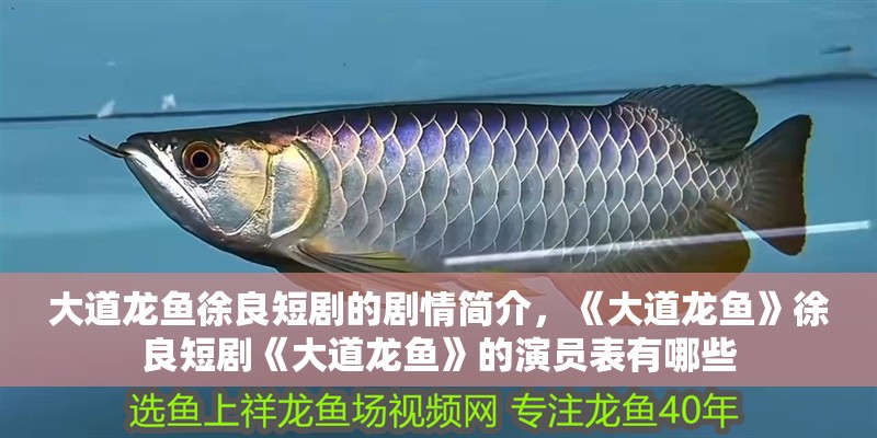 大道龍魚(yú)徐良短劇的劇情簡(jiǎn)介，《大道龍魚(yú)》徐良短劇《大道龍魚(yú)》的演員表有哪些