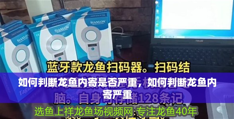 如何判斷龍魚內(nèi)寄是否嚴重，如何判斷龍魚內(nèi)寄嚴重