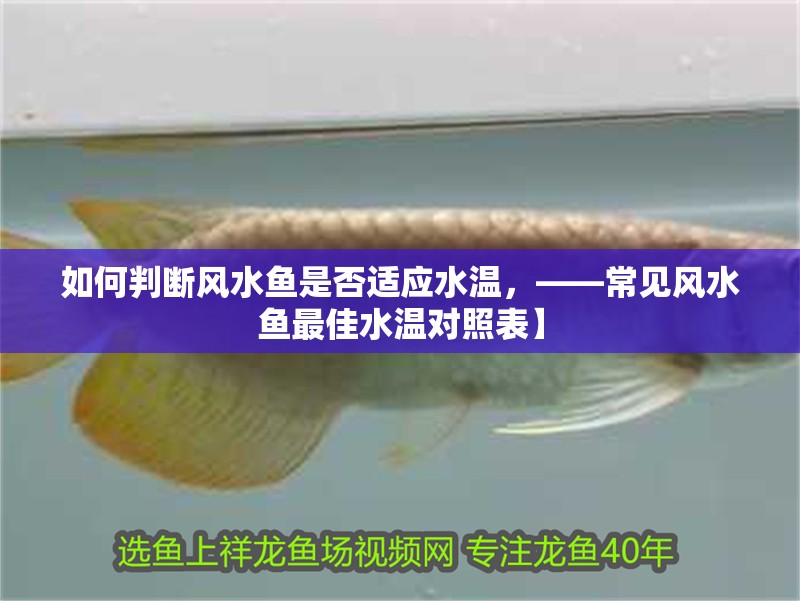 如何判斷風水魚是否適應水溫，——常見風水魚最佳水溫對照表】