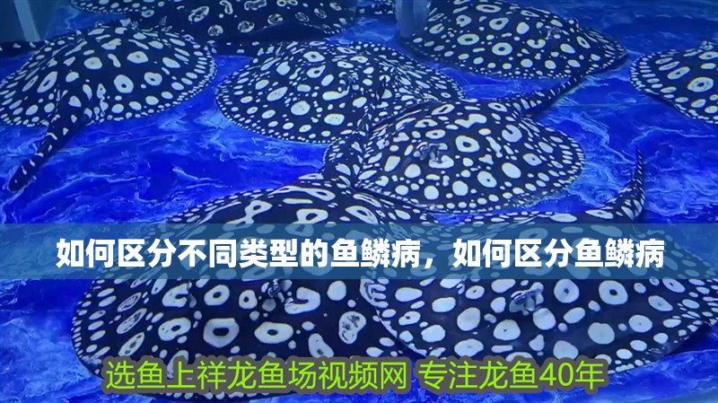如何區分不同類型的魚鱗病，如何區分魚鱗病