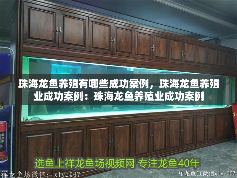 珠海龍魚養殖有哪些成功案例，珠海龍魚養殖業成功案例：珠海龍魚養殖業成功案例