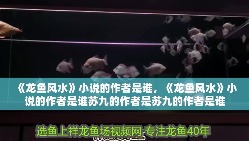 《龍魚風水》小說的作者是誰，《龍魚風水》小說的作者是誰蘇九的作者是蘇九的作者是誰