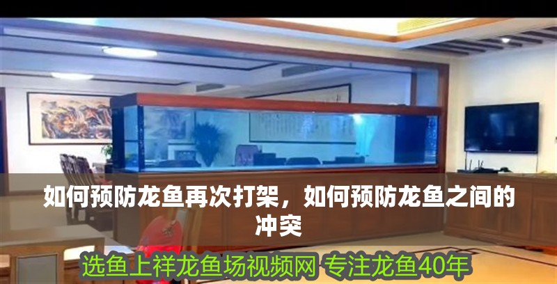 如何預防龍魚再次打架，如何預防龍魚之間的沖突