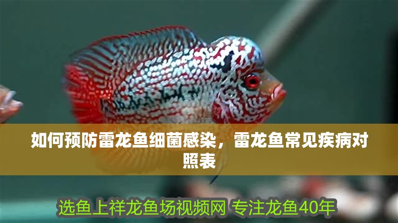 如何預(yù)防雷龍魚細(xì)菌感染，雷龍魚常見疾病對照表