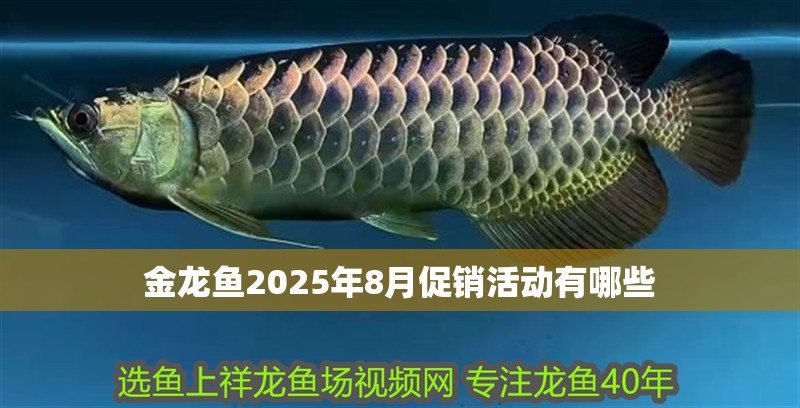 金龍魚2025年8月促銷活動有哪些