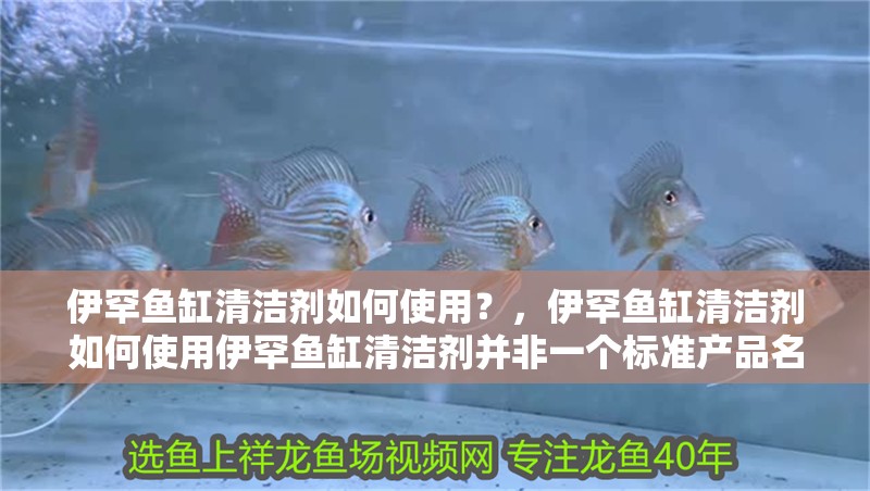 伊罕魚缸清潔劑如何使用？，伊罕魚缸清潔劑如何使用伊罕魚缸清潔劑并非一個標準產品名稱