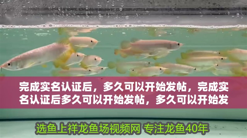 完成實名認證后，多久可以開始發帖，完成實名認證后多久可以開始發帖，多久可以開始發帖