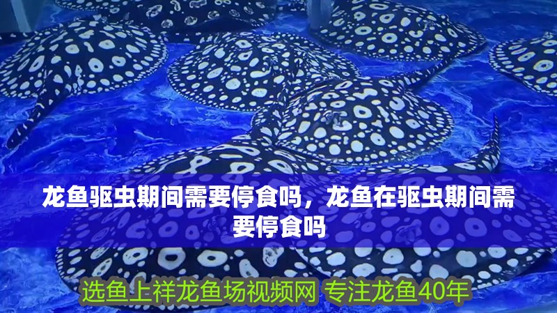龍魚驅蟲期間需要停食嗎，龍魚在驅蟲期間需要停食嗎