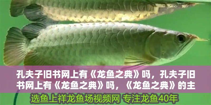孔夫子舊書網(wǎng)上有《龍魚之典》嗎，孔夫子舊書網(wǎng)上有《龍魚之典》嗎，《龍魚之典》的主要內容是什么