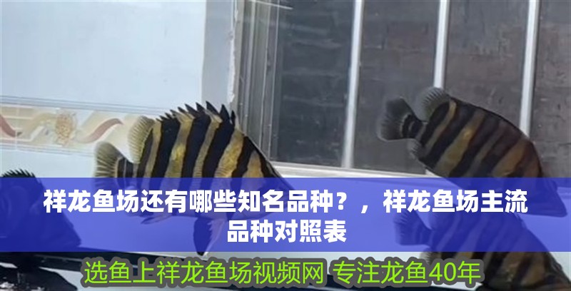 祥龍魚場還有哪些知名品種？，祥龍魚場主流品種對照表