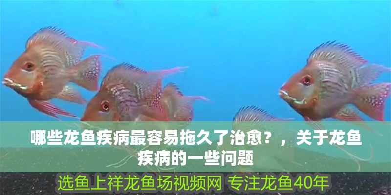 哪些龍魚疾病最容易拖久了治愈？，關于龍魚疾病的一些問題
