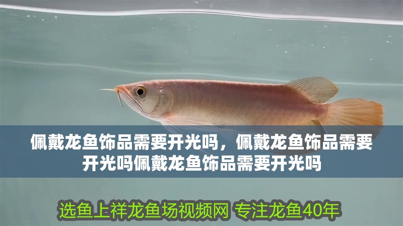 佩戴龍魚飾品需要開光嗎，佩戴龍魚飾品需要開光嗎佩戴龍魚飾品需要開光嗎