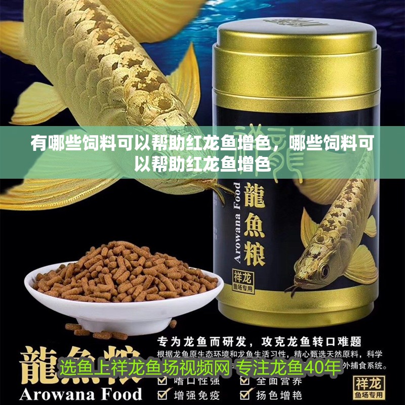 有哪些飼料可以幫助紅龍魚增色，哪些飼料可以幫助紅龍魚增色