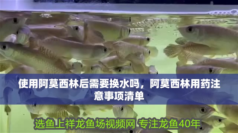 使用阿莫西林后需要換水嗎，阿莫西林用藥注意事項清單