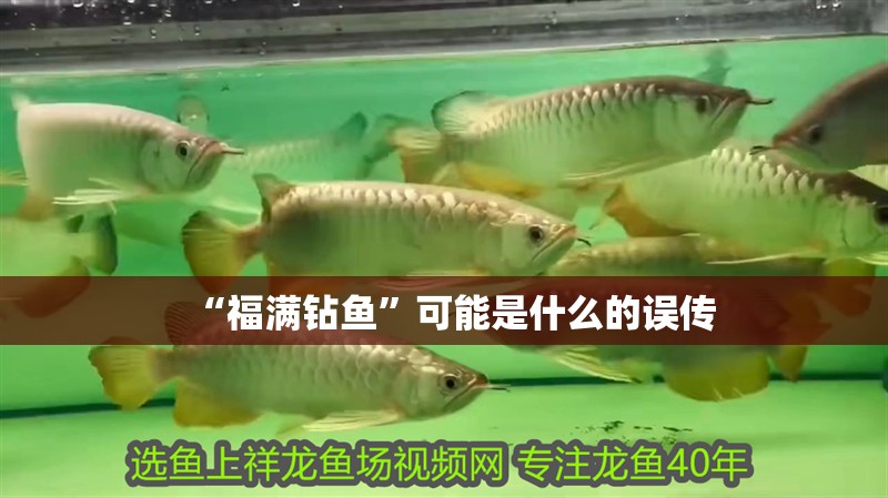 “福滿鉆魚”可能是什么的誤傳