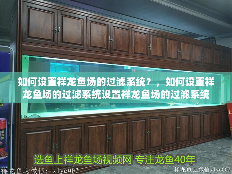 如何設置祥龍魚場的過濾系統？，如何設置祥龍魚場的過濾系統設置祥龍魚場的過濾系統