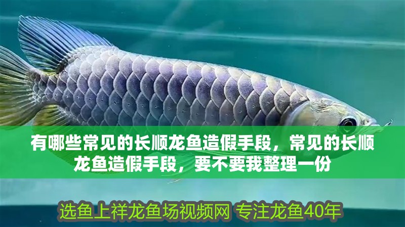 有哪些常見的長順龍魚造假手段，常見的長順龍魚造假手段，要不要我整理一份