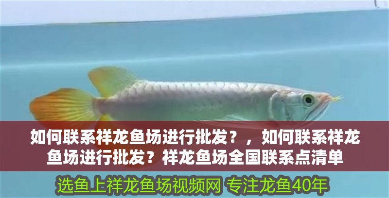 如何聯系祥龍魚場進行批發？，如何聯系祥龍魚場進行批發？祥龍魚場全國聯系點清單